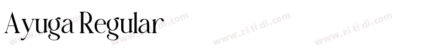 Ayuga Regular字体转换 Ayuga Regular字体转换
